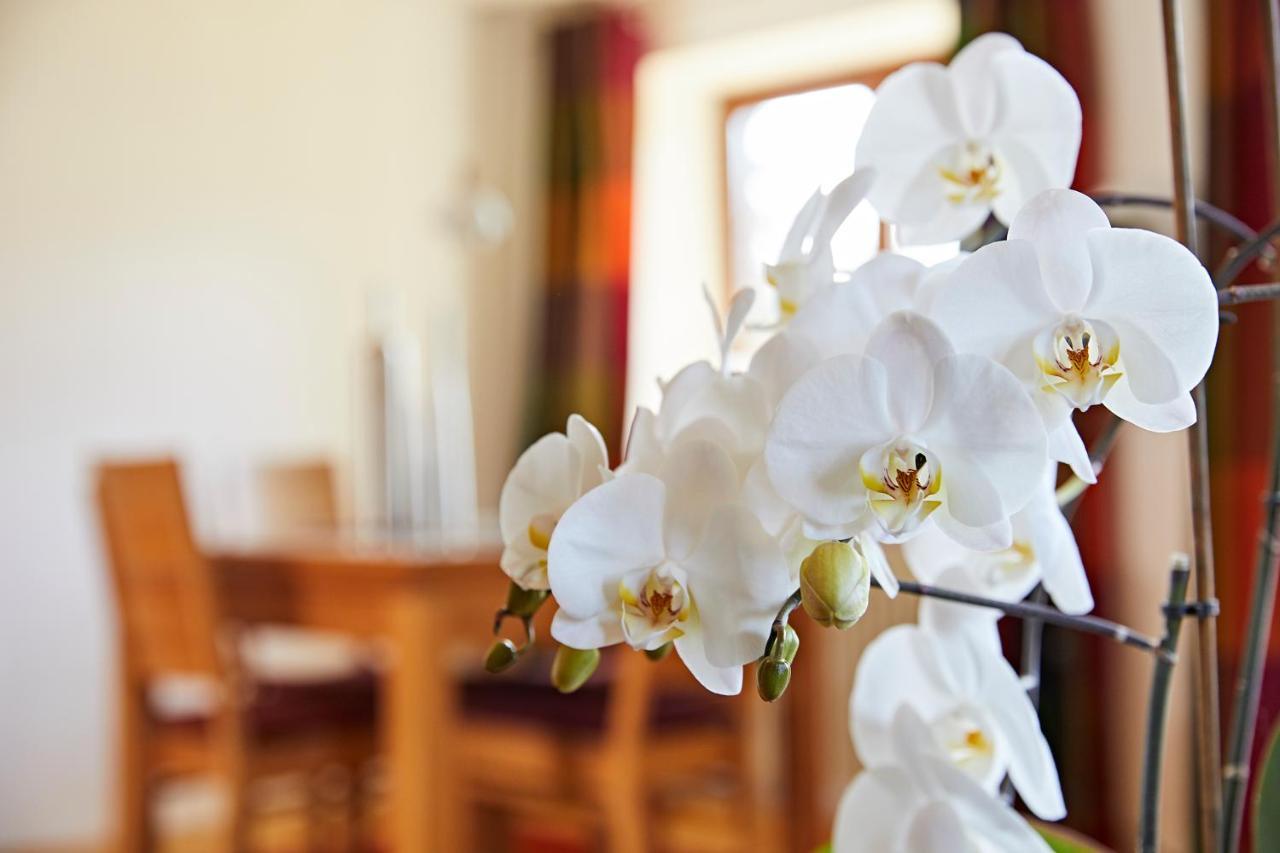 Schwendinger Apartment Oberstdorf